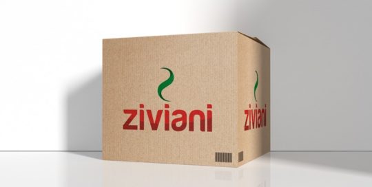ziviani logo 02
