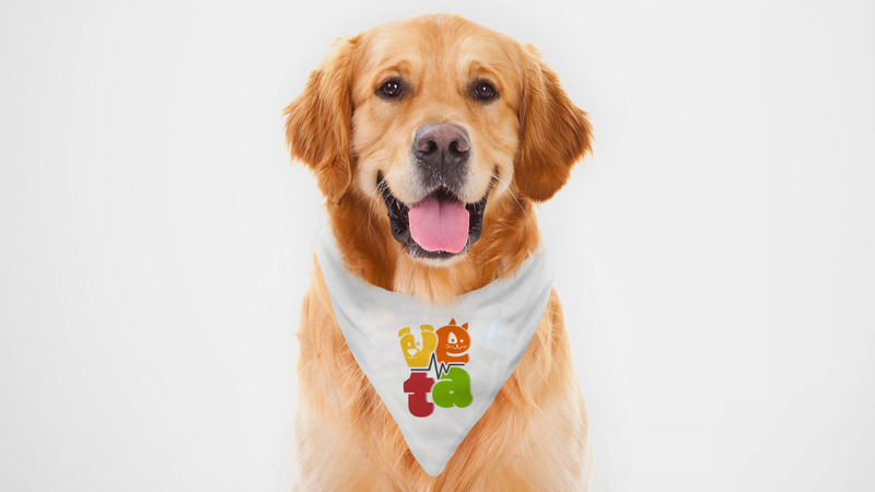 VETA 1 projeto de branding veta logotipo 03